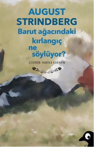 Barut Ağacındaki Kırlangıç Ne Söylüyor?  Frontansicht 1