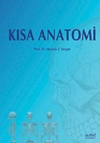 Kısa Anatomi  Frontansicht 1