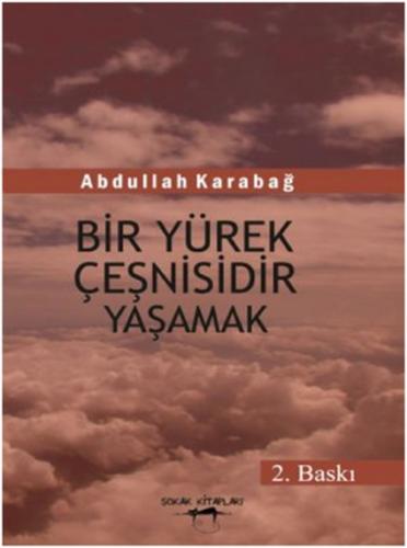 Bir Yürek Çeşnisidir Yaşamak  Frontansicht 1