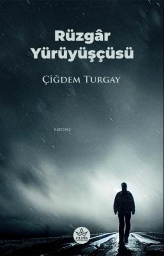 Rüzgâr Yürüyüşçüsü  Frontansicht 1