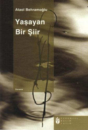 Yaşayan Bir Şiir  Frontansicht 1