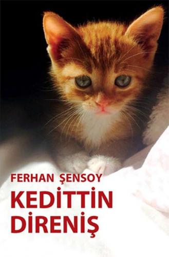 Kedittin Direniş  Frontansicht 1
