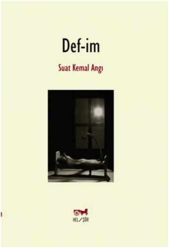 Def-im  Frontansicht 1