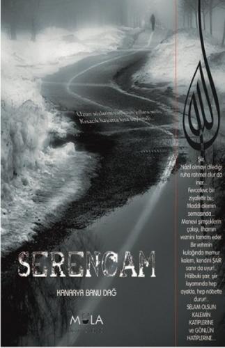 Serencam  Frontansicht 1