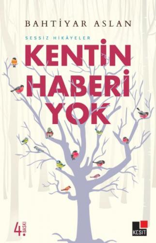 Kentin Haberi Yok  Frontansicht 1