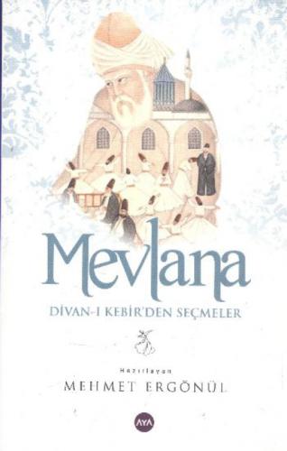 Mevlana - Divan-ı Kebir'den Seçmeler  Frontansicht 1