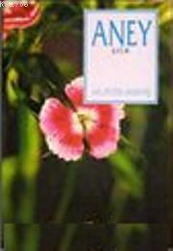 Aney  Frontansicht 1