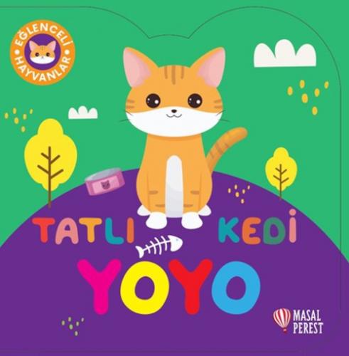 Tatlı Kedi Yoyo  Frontansicht 1