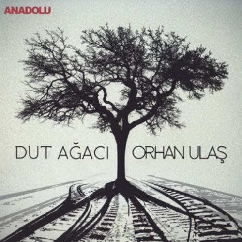Dut Ağacı (CD)  Frontansicht 1