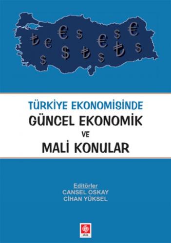 Türkiye Ekonomisinde Güncel Ekonomik ve Mali Konular  Frontansicht 1