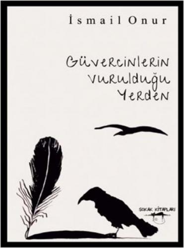 Güvercinlerin Vurulduğu Yerden  Frontansicht 1
