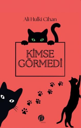 Kimse Görmedi  Frontansicht 1