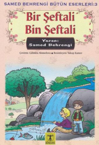 Bir Şeftali Bin Şeftali  Frontansicht 1