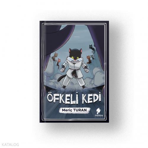 Öfkeli Kedi  Frontansicht 1