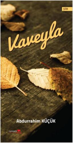 Vaveyla  Frontansicht 1