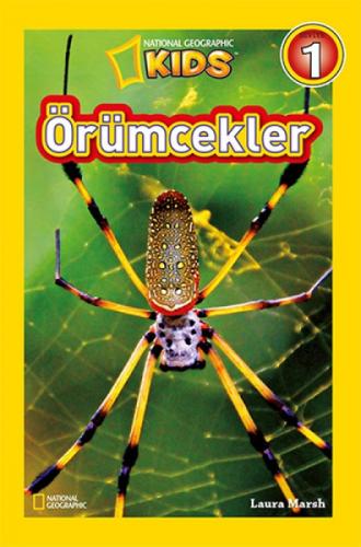 Örümcekler-Seviye 1  Frontansicht 1