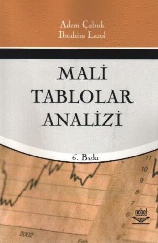 Mali Tablolar Analizi  Frontansicht 1