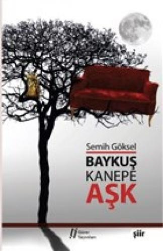 Baykuş, Kanepe ve Aşk  Frontansicht 1