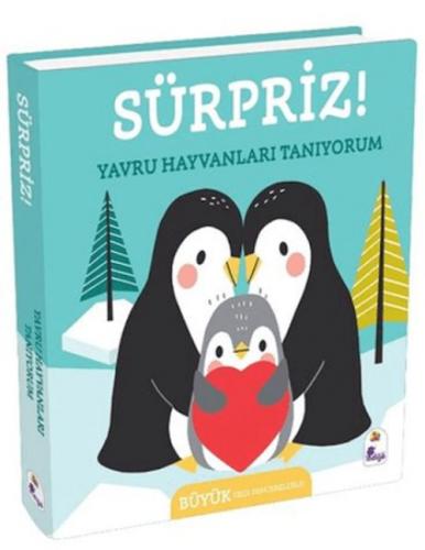 Sürpriz! - Yavru Hayvanları Tanıyorum (Ciltli)  Frontansicht 1