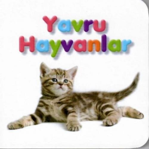 Yavru Hayvanlar-Küçük Kitaplar  Frontansicht 1