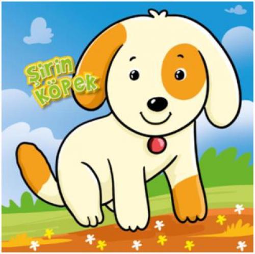 Şirin Köpek  Frontansicht 1