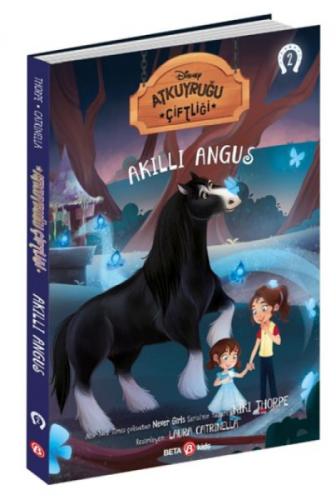 Akıllı Angus 2  Frontansicht 1