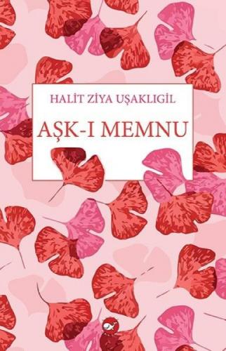 Aşk-ı Memnu  Frontansicht 1