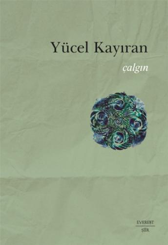 Çılgın  Frontansicht 1