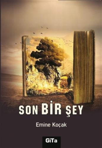 Son Bir Şey  Frontansicht 1