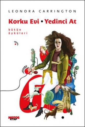 Korku Evi - Yedinci At  Frontansicht 1