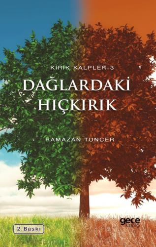 Kırık Kalpler 3 - Dağlardaki Hıçkırık  Frontansicht 1