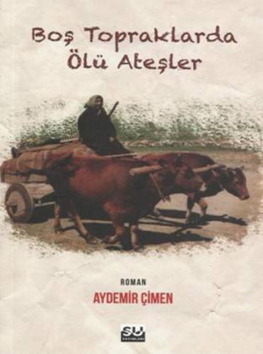 Boş Topraklarda Ölü Ateşler  Frontansicht 1