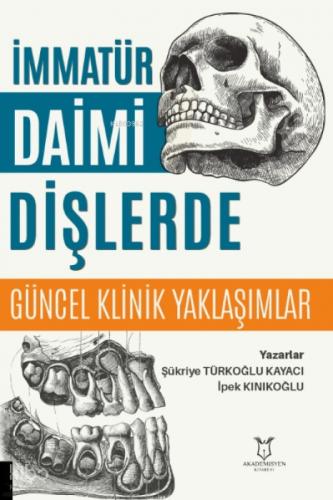 İmmatür Daimi Dişlerde Güncel Klinik Yaklaşımlar  Frontansicht 1