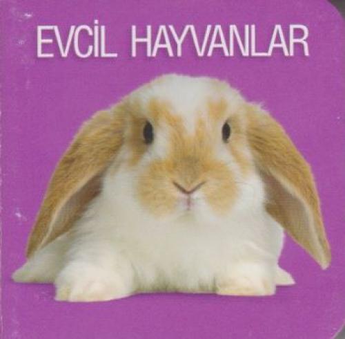 Evcil Hayvanlar  Frontansicht 1