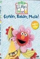 Elmo'nun Dünyası: Çiçekler, Bitkiler, Muzlar (DVD)  Frontansicht 1