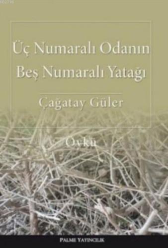 Üç Numaralı Odanın Beş Numaralı Yatağı  Frontansicht 1
