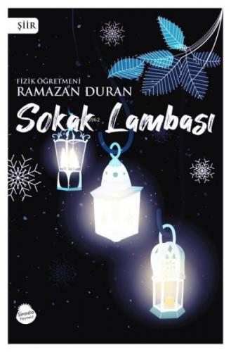 Sokak Lambası  Frontansicht 1
