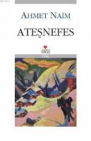 Ateşnefes  Frontansicht 1