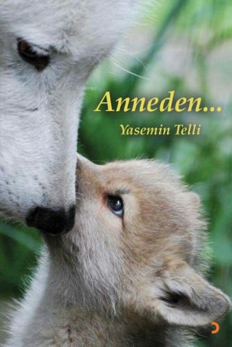 Anneden...  Frontansicht 1