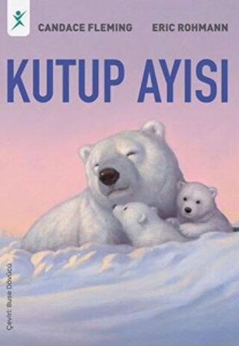 Kutup Ayısı  Frontansicht 1