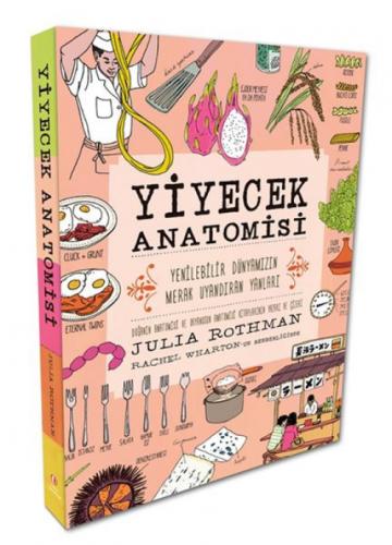 Yiyecek Anatomisi  Frontansicht 1