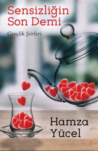 Sensizliğin Son Demi  Frontansicht 1