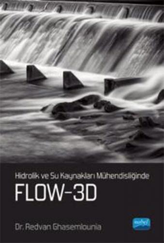 Hidrolik ve Su Kaynakları Mühendisliğinde FLOW-3D  Frontansicht 1