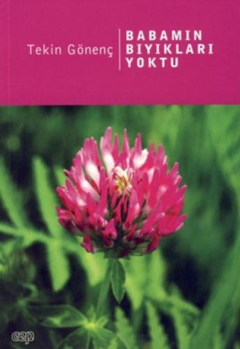 Babamın Bıyıkları Yoktu  Frontansicht 1