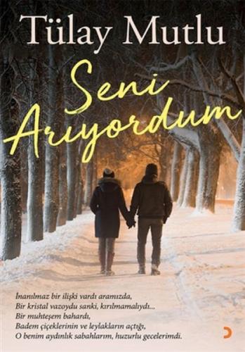 Seni Arıyordum  Frontansicht 1