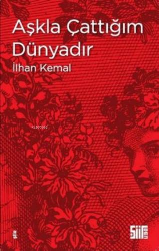 Aşkla Çattığım Dünyadır  Frontansicht 1