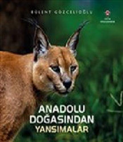 Anadolu Doğasından Yansımalar  Frontansicht 1