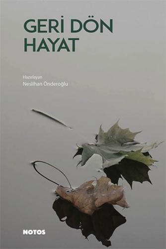 Geri Dön Hayat  Frontansicht 1