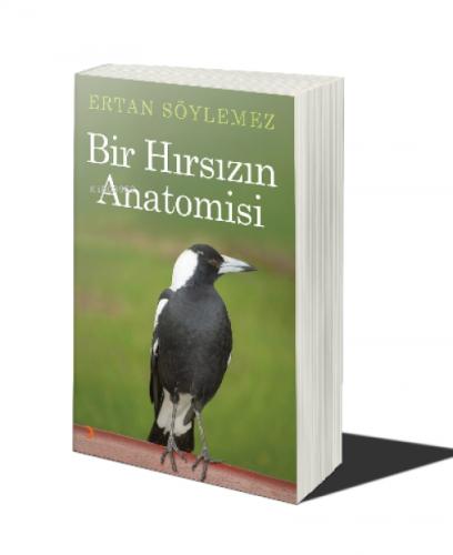 Bir Hırsızın Anatomisi  Frontansicht 1