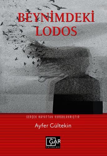 Beynimdeki Lodos  Frontansicht 1